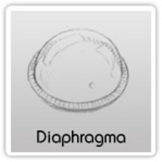 Eine Graustufenzeichnung eines Diaphragma-Verhütungsmittels mit der Aufschrift „Diaphragma“ darunter.