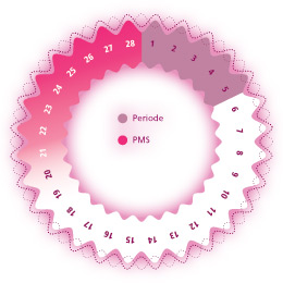 PMS Zyklus