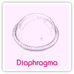 Diaphragma