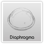 Diaphragma